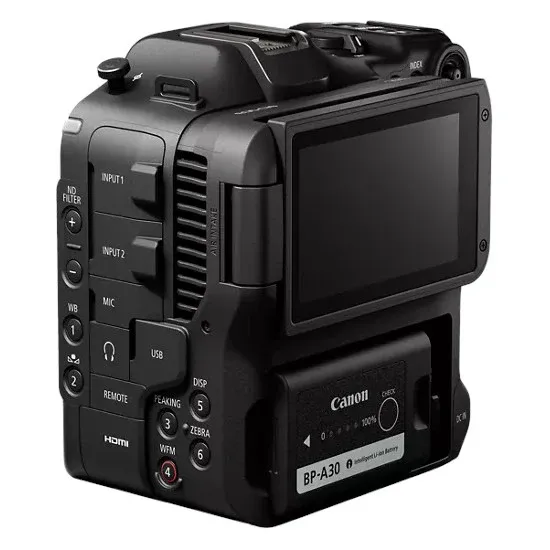 Professional Audio Inputs